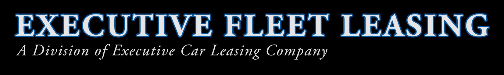 Todo: add execfleet logo